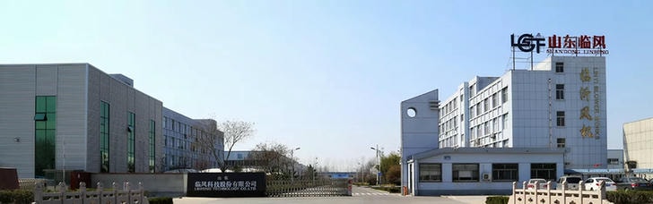 山东临风科技股份有限公司