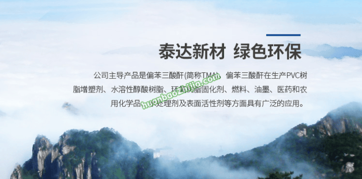 安徽泰达新材料股份有限公司