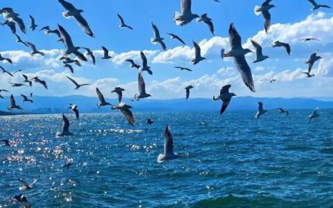 问诊基层环保治理“疲劳综合征”