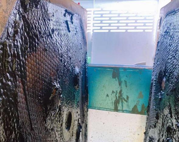 养猪废水生化污泥脱水用什么药调理