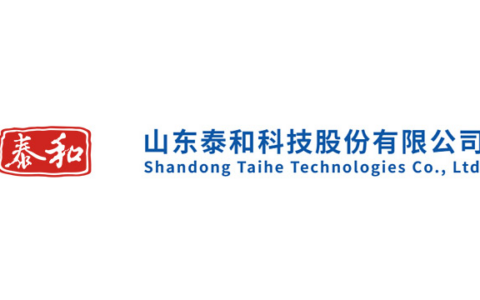 山东泰和科技股份有限公司
