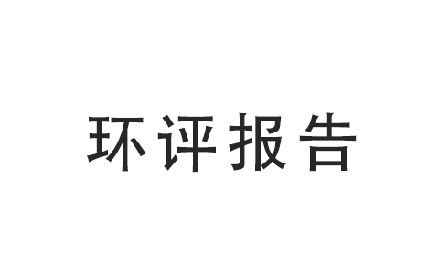 广州xx服务有限公司建设项目竣工验收报告