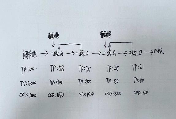餐厨废水总磷超标
